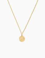 Load image into Gallery viewer, Compass necklace gold plated